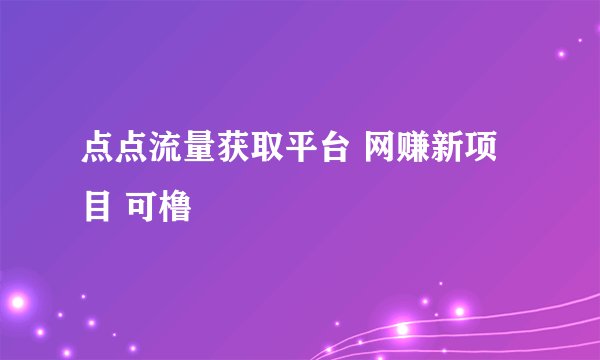 点点流量获取平台 网赚新项目 可橹