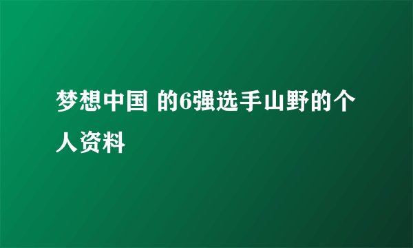 梦想中国 的6强选手山野的个人资料