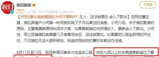 于月仙车祸事件中，被撞的骆驼主人发声，两峰骆驼均已坏了崽子