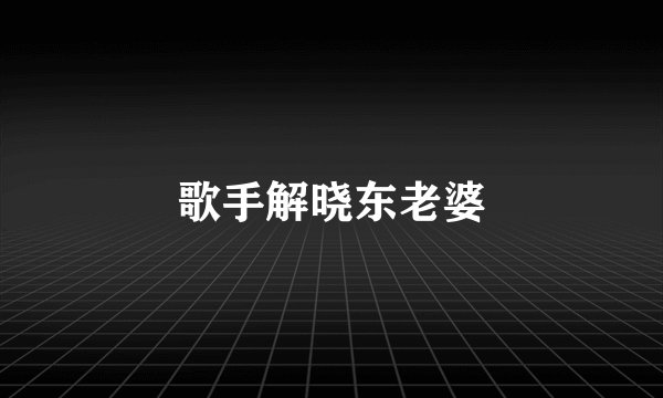 歌手解晓东老婆
