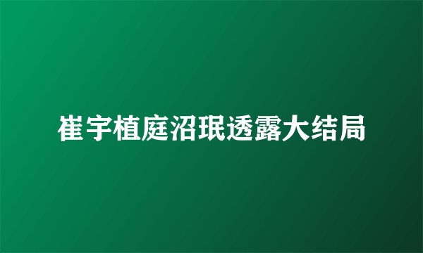 崔宇植庭沼珉透露大结局