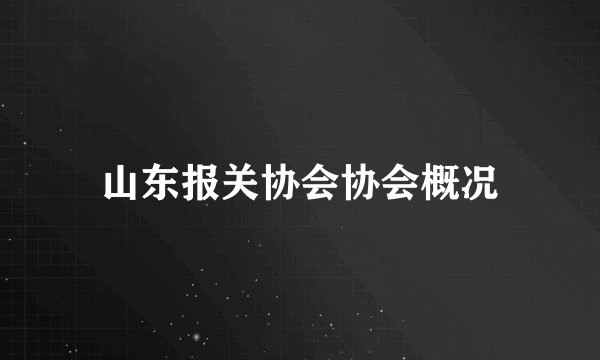 山东报关协会协会概况