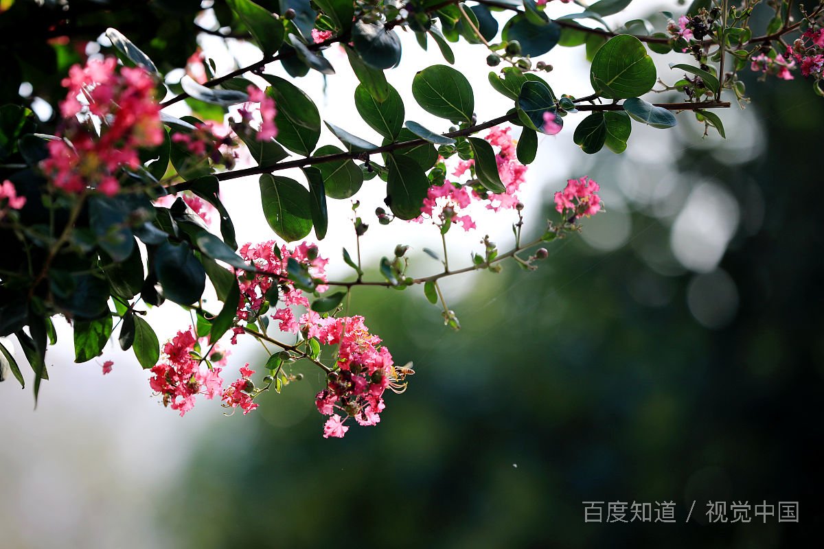 “自信人生三百年，会当击水三千里＂是什么意思?回答正确的给💯!