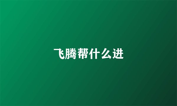 飞腾帮什么进
