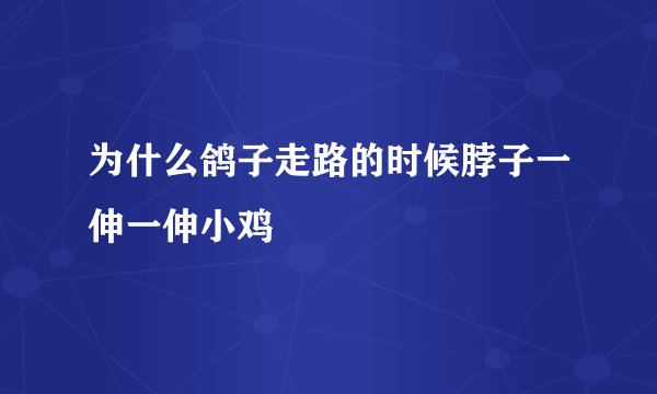 为什么鸽子走路的时候脖子一伸一伸小鸡