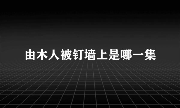 由木人被钉墙上是哪一集