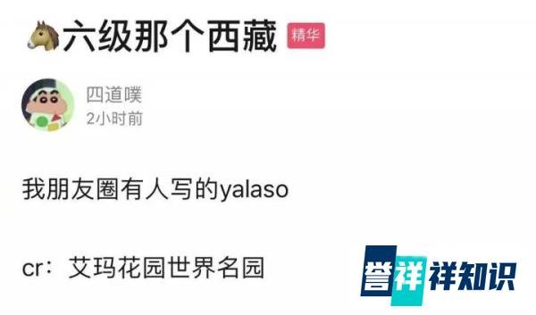 四六级笑话虽迟但到！考生神翻译：西藏竟被译成“yalaso”？