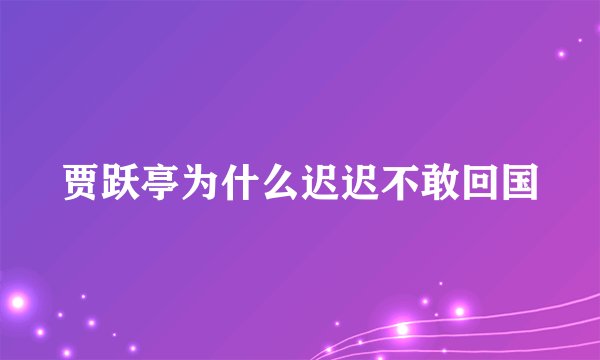 贾跃亭为什么迟迟不敢回国