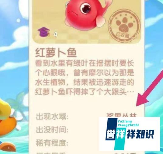 摩尔庄园红萝卜鱼怎么钓