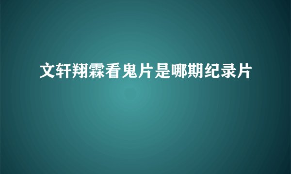 文轩翔霖看鬼片是哪期纪录片