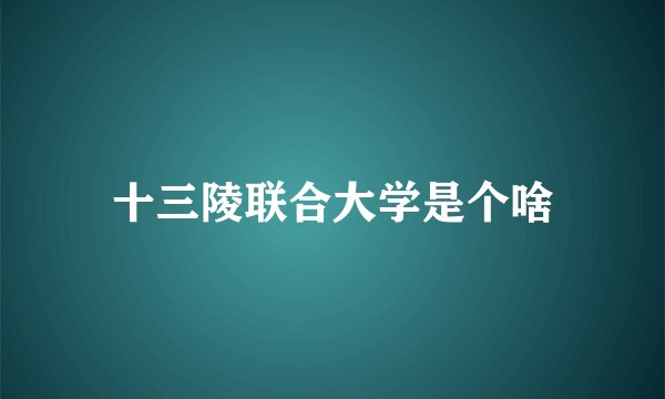 十三陵联合大学是个啥