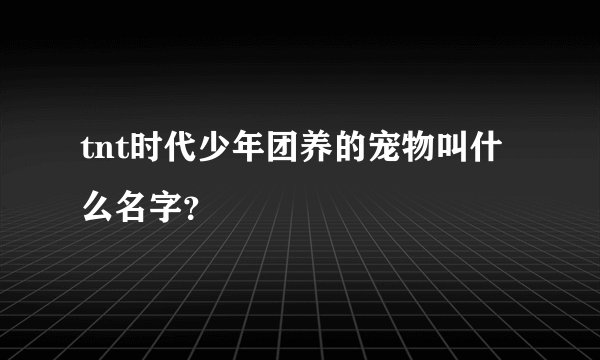 tnt时代少年团养的宠物叫什么名字？