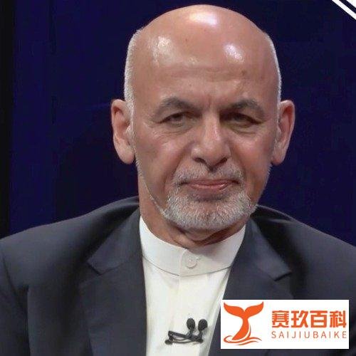 阿富汗总统逃亡,4辆豪车装满了现金。