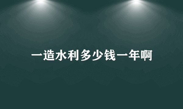 一造水利多少钱一年啊