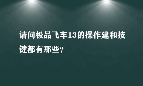 请问极品飞车13的操作建和按键都有那些？