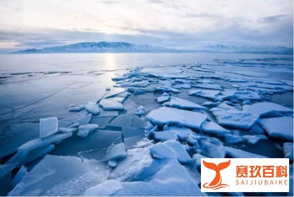 海平面上升酿成悲剧:阿根廷别墅被大海淹没,霍金预言或将成真?