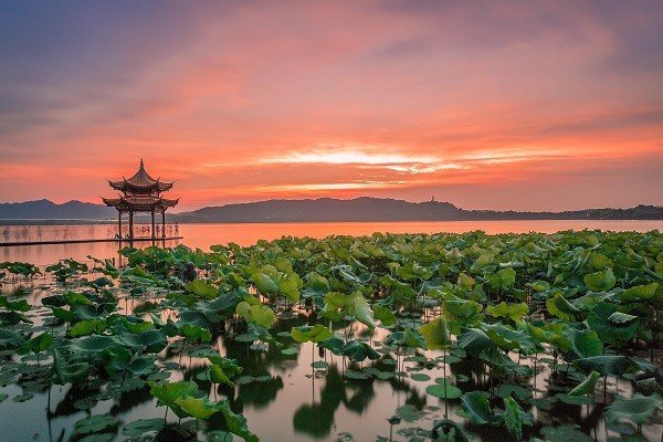伫候佳音什么意思