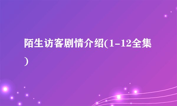 陌生访客剧情介绍(1-12全集)