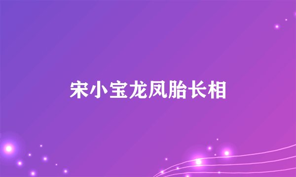 宋小宝龙凤胎长相