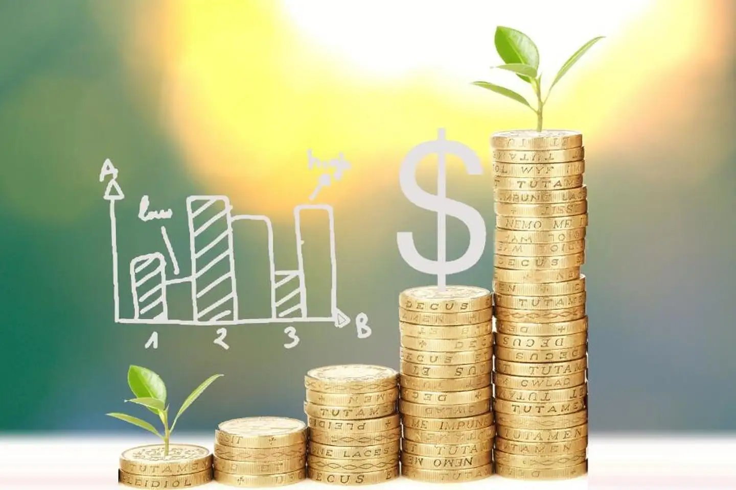 专家称年轻人把基金当奶茶买，老人投资收益远高于年轻人，反映出哪些问题？