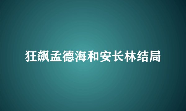 狂飙孟德海和安长林结局