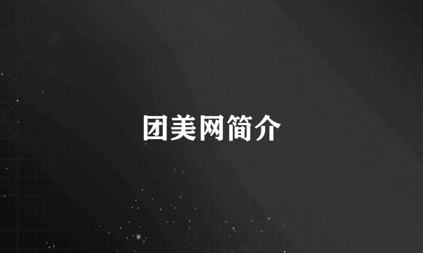 团美网简介