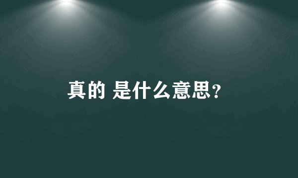 真的 是什么意思？