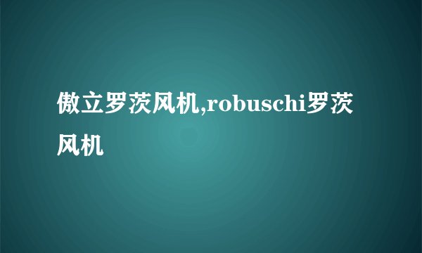 傲立罗茨风机,robuschi罗茨风机