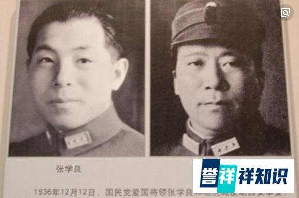 张学良的东北军最后都去了哪里？