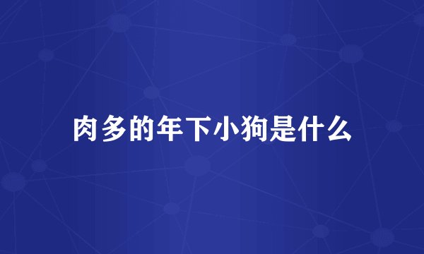 肉多的年下小狗是什么