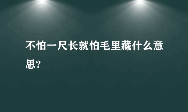 不怕一尺长就怕毛里藏什么意思?