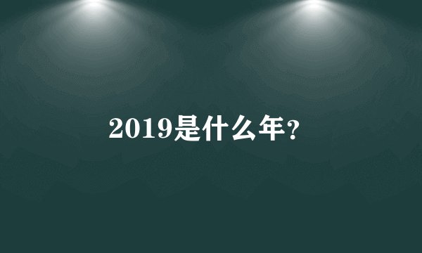 2019是什么年?