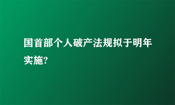 国首部个人破产法规拟于明年实施?