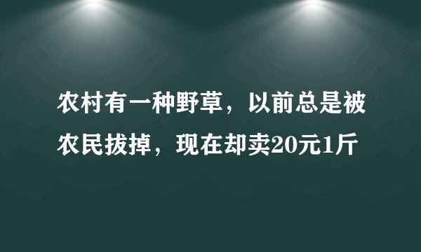 农村有一种野草，以前总是被农民拔掉，现在却卖20元1斤