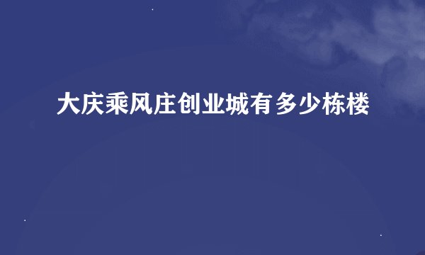 大庆乘风庄创业城有多少栋楼