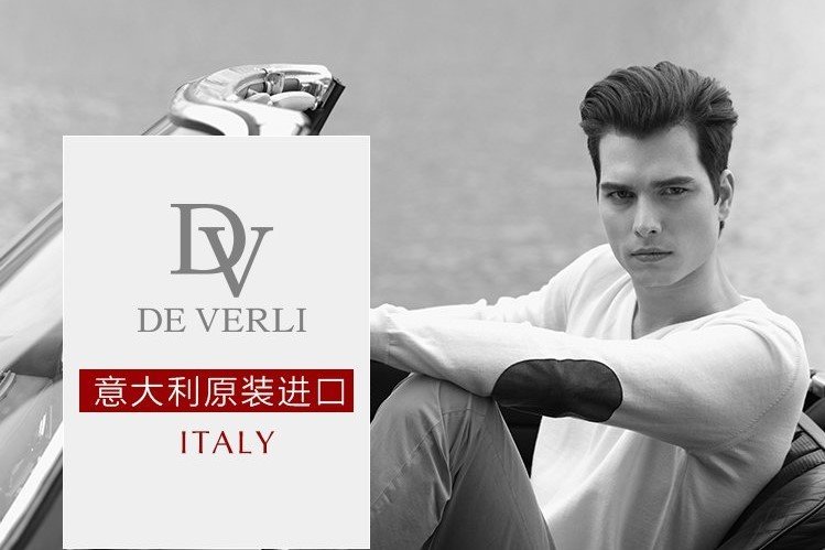 一个男士公务包商标是英文DE VERLI是什么品牌