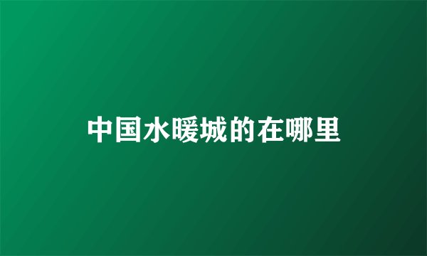 中国水暖城的在哪里