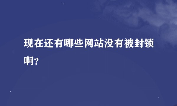 现在还有哪些网站没有被封锁啊？