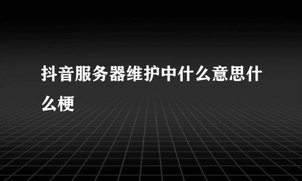 抖音服务器维护中什么意思什么梗