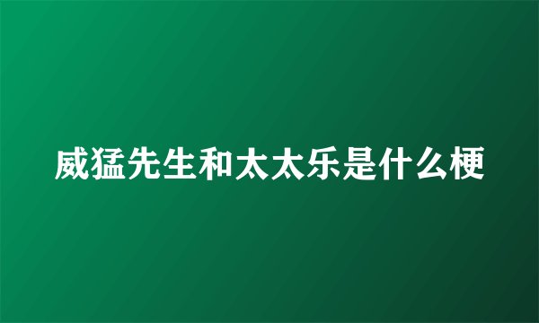 威猛先生和太太乐是什么梗