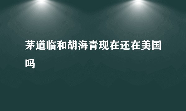 茅道临和胡海青现在还在美国吗