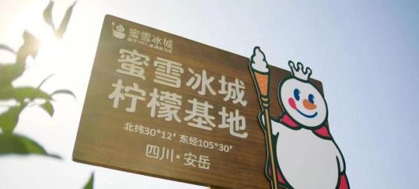 蜜雪冰城冲刺A股：坚持高质平价理念 做国民连锁茶饮第一股