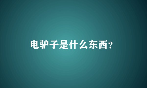 电驴子是什么东西?