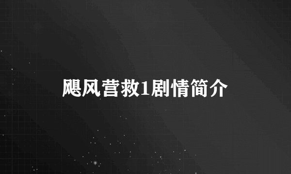 飓风营救1剧情简介