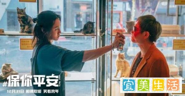 《保你平安》为什么这么火，票房更是很高，它究竟赢在了哪里呢？