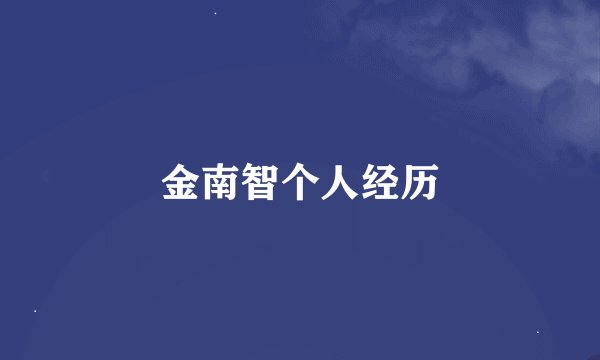 金南智个人经历