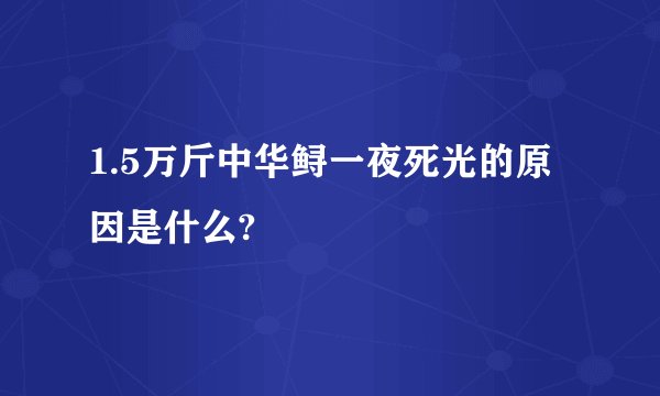 1.5万斤中华鲟一夜死光的原因是什么?