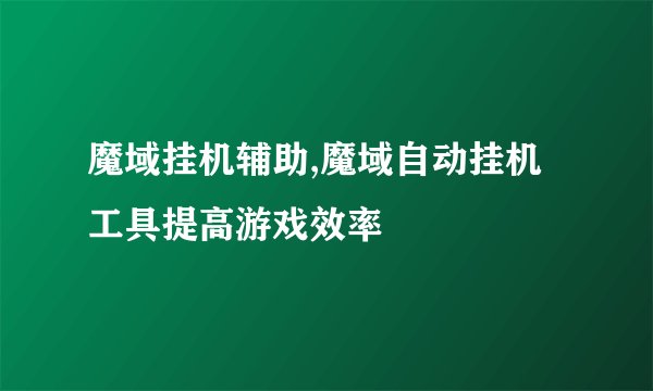 魔域挂机辅助,魔域自动挂机工具提高游戏效率