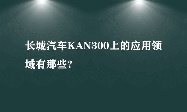 长城汽车KAN300上的应用领域有那些?