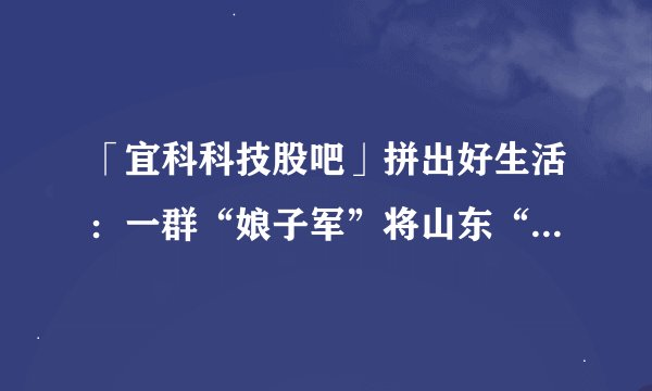 「宜科科技股吧」拼出好生活：一群“娘子军”将山东“水果萝卜”卖向全国